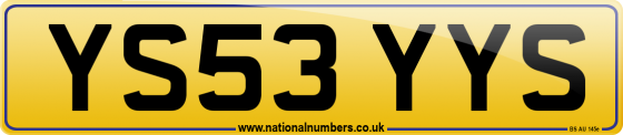 YS53 YYS