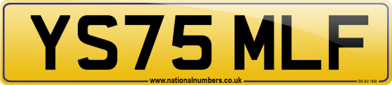 YS75 MLF