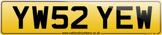 YW52 YEW